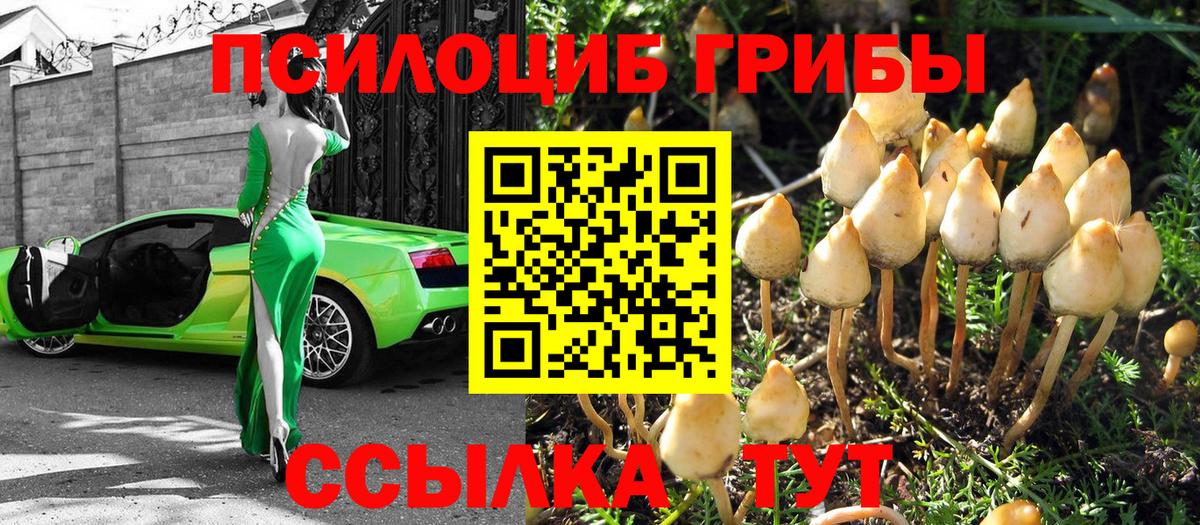 Галлюциногенные грибы MAGIC MUSHROOMS Нарткала